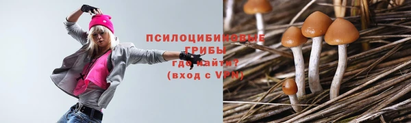 прущая мука Богданович